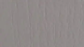 L'aventure de pyrolie et phylalie