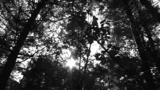Witchgrass: a pipe dream
