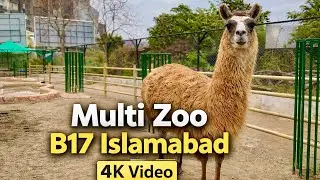 Islamabad Multi Zoo B-17 Walking Tour 2026 | Lions, Tigers & More | 4K Video | Islamabad Zoo 