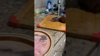 Video Otw For Oyster Toad Fish😋🔥 #oyster #oystertoad #fish #fishspecies #catchandcook #food
