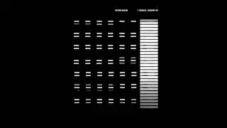 Cosmo Bloom - Audiosapien