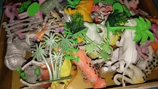 8:00 Minute
