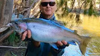 7 pound trout in the Blue Mountains - campfire cook up