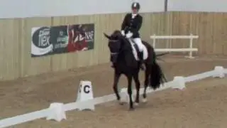 Hayley Watson Greaves WG Rubins Nite Elementary Dressage