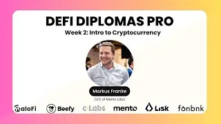DeFi Diplomas Pro Week 2 with Markus Franke, CEO Mento Labs