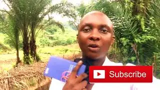 Agrobusiness par mumuvi.com Fr