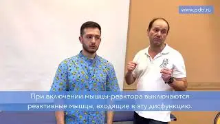 Реактор и реактивные мышцы | что это такое?