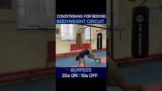 CONDITIONING CIRCUIT FOR AMATEUR BOXERS ❤️📈🔥
