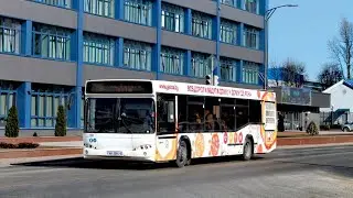 Минская Обл. (Беларусь) | Поездка на Автобусе; МАЗ-103.485; АН 3584-5; марш. 215э. (27.09.2025 г.) 