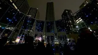 Winter Lights (Sanctuary) #3 - 2026