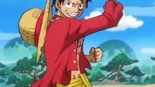 One piece 893