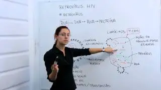 Retrov&iacute;rus  HIV