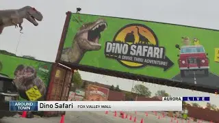 Around Town - Dino Safari: Drive Thru Adventure