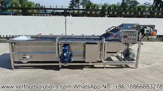 VERFOODSOLUTIONS Rape 4m Air Bubble Fruit Vegetable Washing Machine Test for Peru Customer