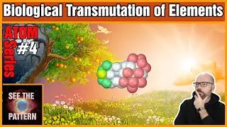 Biological Transmutation of Elements
