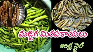 Buttermilk Mirchi || మజ్జిగ మిరపకాయలు/ఊరు మిరపకాయలు తయారీ విధానం || DADS PRINCESS RUPA