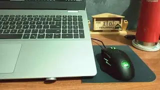 A leap of faith | First silent vlog