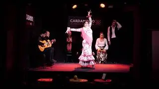 Paula Rodríguez Lázaro, Alegrías Cardamomo