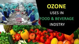 Ozone uses in food, beverage processing and packing | Ozonator | Ozone Generatgor | Athineel