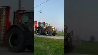 19 4383 Gomiero Farm Ding Dong #farmtok