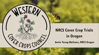 NRCS Cover Crop Trials - Oregon