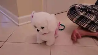 Barbie Walk & Wag Puppy Interactive Feature Plush, Walks, Barks, and Wags Tail Like a Real Dog