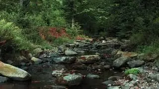Sleep Music, Study Sound, Inspirational Music, Relax, Chill, Fun Music, Flowing River