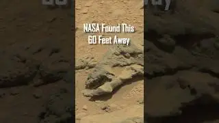 Amazing Skeletal Remains Discovered by MARS Rover | NASA Insights