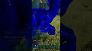 Raptor Vs Terror bird | ark survival evolved | Ark battles | red vs blue #arksurvival