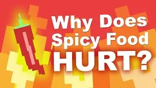 Why Does Spicy Food Burn Your Mouth?