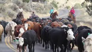 World meat trade declines
