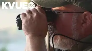Survey: Austin is the No. 9 city for birdwatching | KVUE