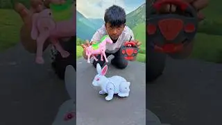 Rc Remote Wla Mini Horse & Rabbit Unboxing Test 🔥