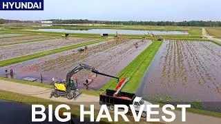Hyundai Construction Equipment North America: Cranberry Farm HW160A Wheeled Excavator Testimonial