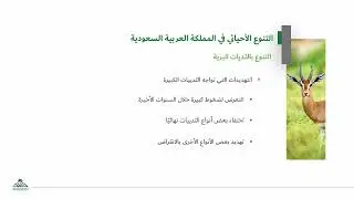 تنوع الثديات البرية في المملكة