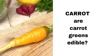 ARE CARROT GREENS EDIBLE?