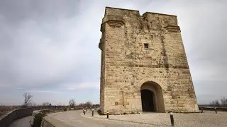 Le tour de Camargues