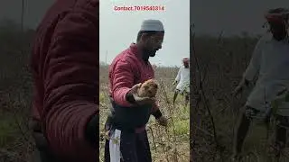 BORE POINT CHECKING AT KONGANDI VILLAGE WADIGERA TQ CONTACT 7019540314