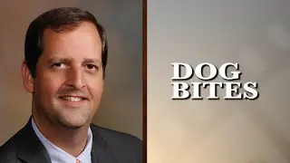The Challenges of Dog Bite Cases