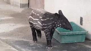 安佐動物園 (2011.12.11)
