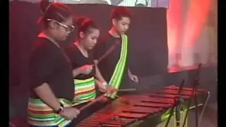 Percussion Sampler (Marimba, Snares, Tom-toms, Conga Drums)