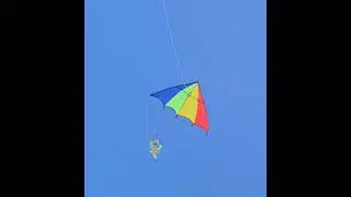 Parachute frog kite flying over Kaimu Farmer&rsquo;s Market in Kalapana Hawaii
