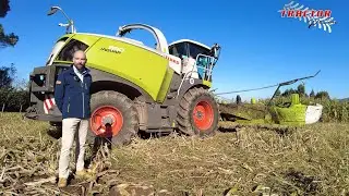 Claas Jaguar 990 de Servicios Agricola Trigo con cabezal Orbis 900 ensilando Maiz zona de Valdoviño