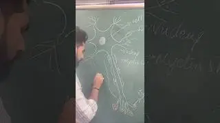 Neuron easy diagram #neuron #ncert #anatomy #art #artist #ytshorts #trending #neet #viral #easy #bio