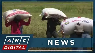 PH projected to remain world's top rice importer | ANC