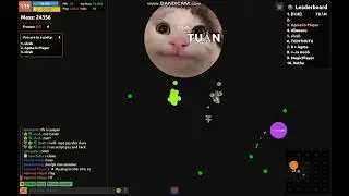 agma.io X insta 2023
