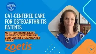Cat-centered Care for Osteoarthritis Patents featuring Veterinary Behaviorist Dr. Margaret Gruen