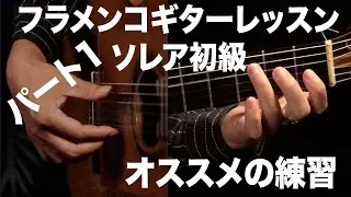 超初心者さんのためのソレア オススメの練習方 ゴルぺ、レガートなど Solea  [フラメンコギターレッスン]　パート1 Flamenco Guitra