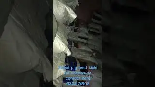 Dayal pig feed available kisi ko chahiye to contact kare dosto mob.9304174908