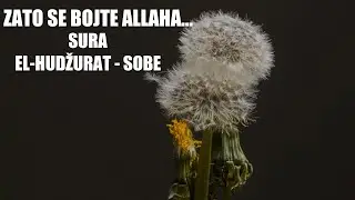 Sura 49. El-Hudžurat - Sobe (Bosanski)┇ᴴᴰ┇Mishary Rashid Alafasy